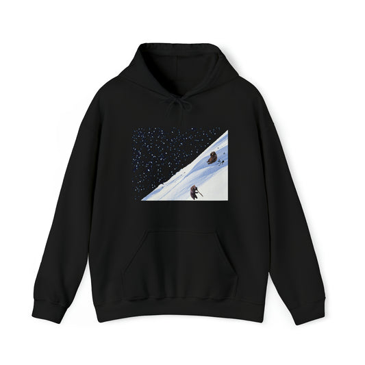 Rio Petti ™ - Hoodie - "Bear Mountain"